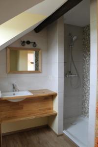 een badkamer met een wastafel en een douche bij Wanneshoeve in Haacht