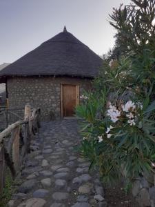 a building with a thatched roof and a stone walkway at Bethan Amba ecovillage in Lalibela +26 photos