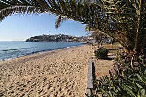 einen Strand mit einer Palme und dem Meer in der Unterkunft Nicola's House with private parking in Kavala