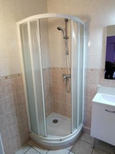 a shower with a glass door in a bathroom at Auberge de l'Europe in Saint-Quentin-Fallavier