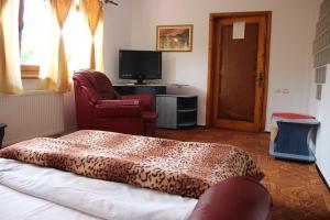 ブシュテニにあるPension Roniのベッド、椅子、テレビが備わる客室です。