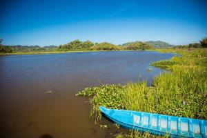 een blauwe boot aan de kant van een rivier bij Cat Tien Jungle Lodge in Cat Tien