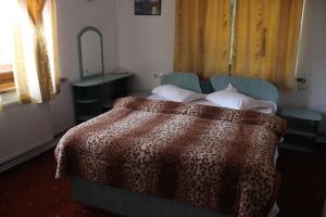 ブシュテニにあるPension Roniのベッドルーム1室(毛布付きのベッド1台付)