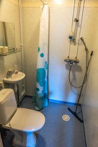 a bathroom with a toilet and a shower and a sink at Arctic Guesthouse & Igloos in Ranua