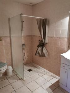 a shower with a glass door in a bathroom at Auberge de l'Europe in Saint-Quentin-Fallavier