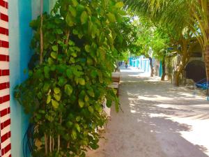 Foto sihtkohas Guraidhoo asuva majutusasutuse Ocean Way Guraidhoo galeriist
