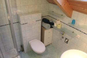 Kúpeľňa v ubytovaní Ferienwohnung Daberer + 32 fotografií