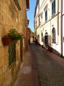 een leeg steegje met een potplant op een gebouw bij Casa Giordano Bruno in Tarquinia