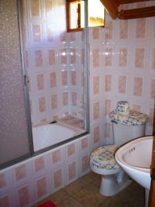 a bathroom with a shower and a toilet and a sink at Lodge de Montaña Lago Monreal in El Blanco