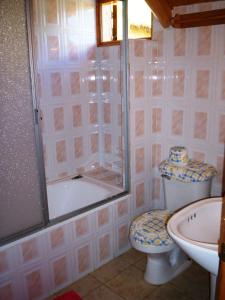 y baño con ducha, aseo y lavamanos. en Lodge de Montaña Lago Monreal, en El Blanco