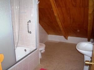 y baño con ducha, aseo y lavamanos. en Lodge de Montaña Lago Monreal, en El Blanco