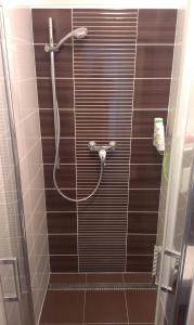 a shower in a bathroom with brown tile at Alfa Panorama Brno in Brno