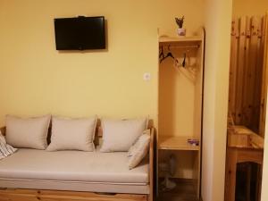 TV a/nebo společenská místnost v ubytování Levendulás ház