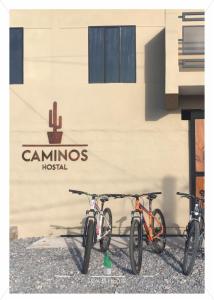 Gallery image of Caminos Hostal in San Salvador de Jujuy