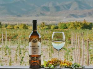 a bottle of wine next to a glass of wine at Château Mosmieri Hotel & Winery in Tʼelavi