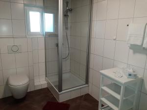 ein Bad mit einer Dusche, einem WC und einem Fenster in der Unterkunft Ferienwohnungen Weixler Schindelberg in Oberstaufen