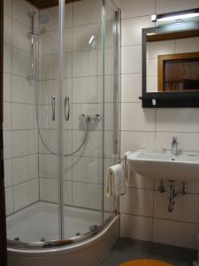 La salle de bains est pourvue d'une douche et d'un lavabo. dans l'établissement Ferienwohnungen Weixler Schindelberg, à Oberstaufen