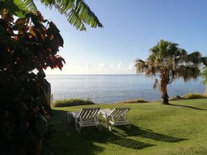 Naturlandskabet i nærheden af lejligheden