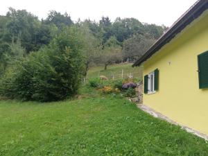 Zahrada ubytování Ferienhaus Grabenhansl