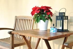 a wooden table with a potted plant and a candle at Villa Stefania in Noventa Padovana