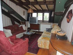 sala de estar con sofá y TV en le chant des oiseaux, en Craponne-sur-Arzon