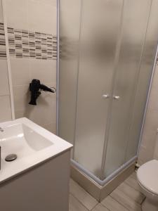 a shower in a bathroom with a sink and a toilet at Zen attitude Appt 127 in Sens