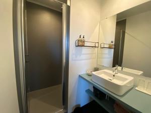 a bathroom with a sink and a shower at Studio Spiegelhof in Ghent +26 photos