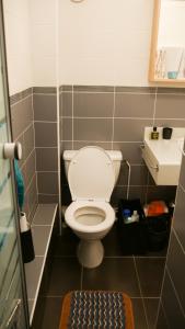 a small bathroom with a toilet and a sink at Appartement Cosy Seignosse bord de mer in Seignosse