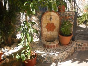 A garden outside Zavrakli
