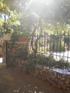 A garden outside Zavrakli