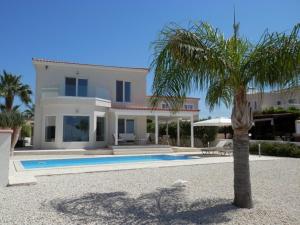 un palmier en face d'une maison avec piscine dans l'établissement Amazing Villa with panoramic sea view, à Paphos