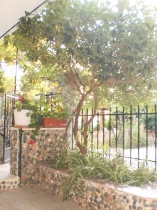 A garden outside Zavrakli