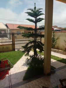 a small pine tree in front of a fence at Um quarto em casa agradável in Perequê
