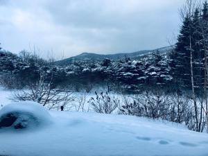 a snow covered field with footprints in the snow at Le Boisé (Les Manoirs) Mont-Tremblant in Mont-Tremblant