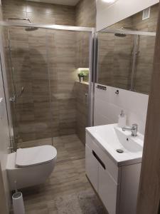 a bathroom with a shower and a toilet and a sink at Apartament KAOLA in Jelenia Góra +26 photos