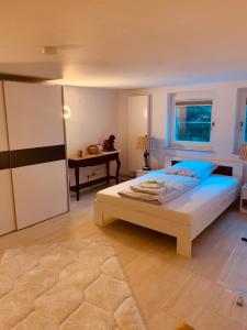Schlafzimmer mit einem Bett und einem Schreibtisch in der Unterkunft Souterrain Zimmer mit separatem Eingang und Bad in Düsseldorf