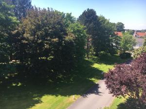einen Blick über eine Straße mit Bäumen und Gras in der Unterkunft Suite au Parc de Fresnoy in Roye