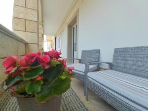 una planta en una olla en un balcón con un banco en B&B Il Cianciolo en Lampedusa