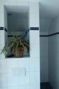 a bathroom with a plant in a basket on a shelf at "Strand-Gut" in Börgerende-Rethwisch