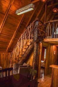 Billede fra billedgalleriet på Cabañas Ecoturismo la Pancha i Puerto Aisén