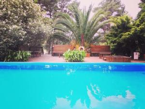 una piscina con bancos y una palmera en Posada del Viento en Tandil