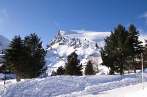 Falkert-Hütte „Beim Almöhi" v zime