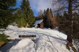 Falkert-Hütte „Beim Almöhi" v zime