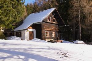Falkert-Hütte „Beim Almöhi" v zime