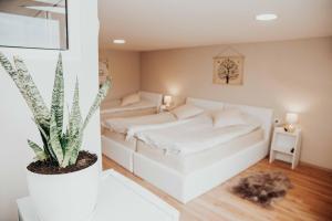 Galeriebild der Unterkunft Shkodra apartment with amazing view in the city center in Shkodra