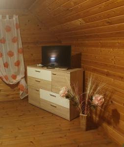 una sala de estar con TV y una cómoda con una bañera de hidromasaje en Holiday Home Dālderi, en Bīriņi