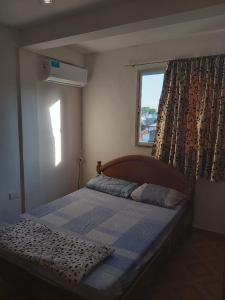 ポサーダスにあるHabitaciones Villa Blossetのベッドルーム1室(大型ベッド1台、窓付)