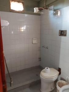 a white bathroom with a toilet and a shower at Habitaciones Villa Blosset in Posadas