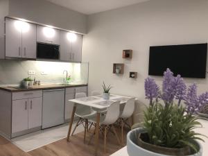 A kitchen or kitchenette at Lakones Deluxe Suites A
