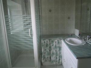 a bathroom with a sink and a shower at La Boulonne in Festigny +34 photos
